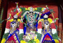 தஞ்சாவூரில் வைணவ தலங்களில் சொர்க்கவாசல் திறப்பு பக்தர்கள் சுவாமி தரிசனம்