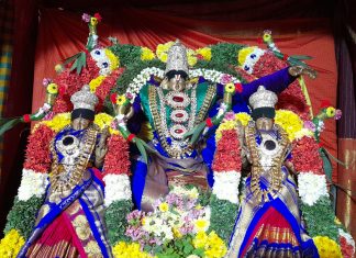 தஞ்சாவூரில் வைணவ தலங்களில் சொர்க்கவாசல் திறப்பு பக்தர்கள் சுவாமி தரிசனம்