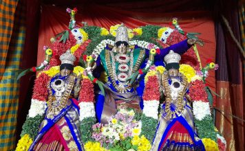 தஞ்சாவூரில் வைணவ தலங்களில் சொர்க்கவாசல் திறப்பு பக்தர்கள் சுவாமி தரிசனம்