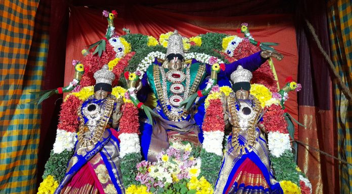 தஞ்சாவூரில் வைணவ தலங்களில் சொர்க்கவாசல் திறப்பு பக்தர்கள் சுவாமி தரிசனம்