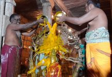 ஆருத்ரா தரிசனத்தை முன்னிட்டு நடராஜருக்கு சிறப்பு அபிஷேகம்