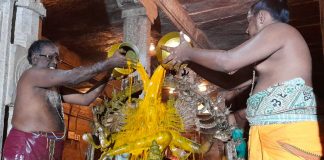 ஆருத்ரா தரிசனத்தை முன்னிட்டு  நடராஜருக்கு சிறப்பு அபிஷேகம்