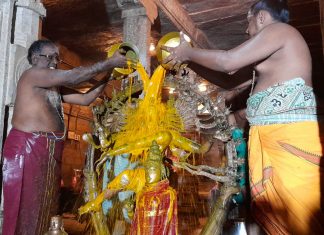 ஆருத்ரா தரிசனத்தை முன்னிட்டு நடராஜருக்கு சிறப்பு அபிஷேகம்