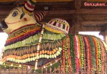 தஞ்சாவூர் பெரியகோவிலில் மகர சங்கராந்தியை முன்னிட்டு மஹாநந்தியெம் பெருமானுக்கு சிறப்பு அபிஷேகம், அலங்காரம்