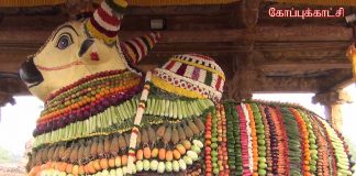 தஞ்சாவூர் பெரியகோவிலில் மகர சங்கராந்தியை முன்னிட்டு மஹாநந்தியெம் பெருமானுக்கு சிறப்பு அபிஷேகம், அலங்காரம்