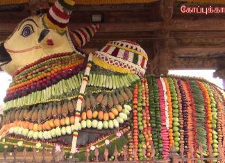 தஞ்சாவூர் பெரியகோவிலில் மகர சங்கராந்தியை முன்னிட்டு மஹாநந்தியெம் பெருமானுக்கு சிறப்பு அபிஷேகம், அலங்காரம்