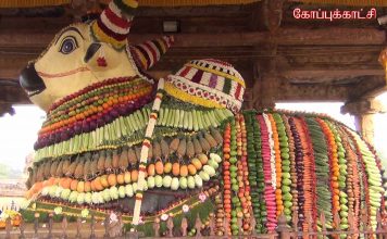 தஞ்சாவூர் பெரியகோவிலில் மகர சங்கராந்தியை முன்னிட்டு மஹாநந்தியெம் பெருமானுக்கு சிறப்பு அபிஷேகம், அலங்காரம்