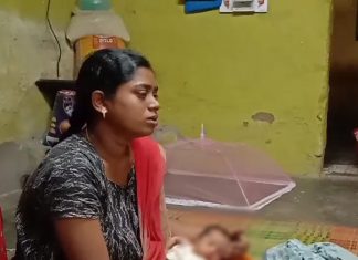 தஞ்சாவூரில் குழந்தையை தூக்கி சென்ற குரங்கு