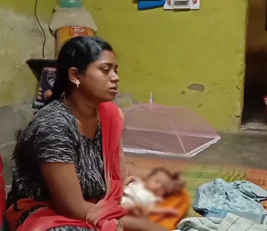 தஞ்சாவூரில் குழந்தையை தூக்கி சென்ற குரங்கு