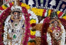 தஞ்சை பெரியகோவில் அருள்மிகு     ஸ்ரீபெரியநாயகி அம்மன் உடனுறை பெருவுடையார் திருக்கல்யாண மகோத்ஸவம்