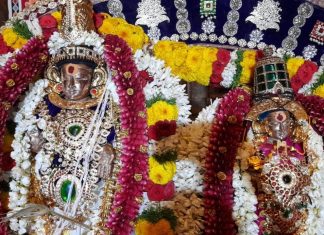 தஞ்சை பெரியகோவில் அருள்மிகு ஸ்ரீபெரியநாயகி அம்மன் உடனுறை பெருவுடையார் திருக்கல்யாண மகோத்ஸவம்
