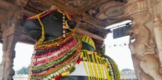 தஞ்சாவூர் பெரியகோவிலில் கோ-பூஜை மற்றும் மஹாநந்தியெம்பெருமானுக்கு சிறப்பு அலங்காரம்