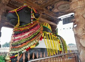 தஞ்சாவூர் பெரியகோவிலில் கோ-பூஜை மற்றும் மஹாநந்தியெம்பெருமானுக்கு சிறப்பு அலங்காரம்