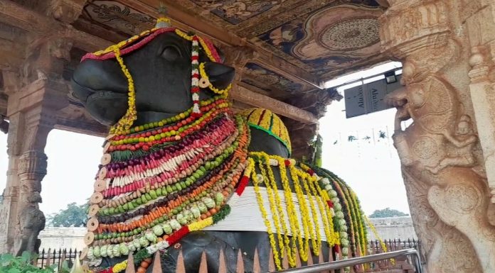 தஞ்சாவூர் பெரியகோவிலில் கோ-பூஜை மற்றும் மஹாநந்தியெம்பெருமானுக்கு சிறப்பு அலங்காரம்