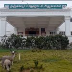 தஞ்சாவூர் மாவட்டத்தில் தஞ்சாவூர், கும்பகோணம் மாநகராட்சியை திமுக கைப்பற்றியது