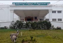தஞ்சாவூர் மாவட்டத்தில் தஞ்சாவூர், கும்பகோணம் மாநகராட்சியை திமுக கைப்பற்றியது