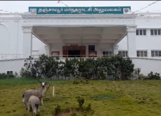 தஞ்சாவூர் மாவட்டத்தில் தஞ்சாவூர், கும்பகோணம் மாநகராட்சியை திமுக கைப்பற்றியது