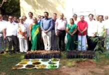 தஞ்சாவூரில் சமுதாய நாற்றங்கால் தோட்டத்தினை மாவட்ட ஆட்சியர் தினேஷ் பொன்ராஜ் ஆலிவர் விதைகள் நட்டு துவக்கி வைத்தார்